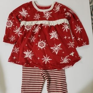 Burts Bees Baby Tunic and Leggings